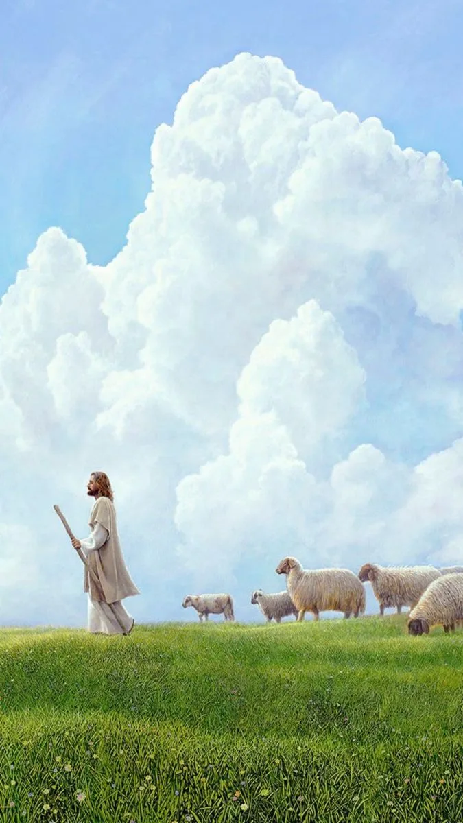 Jesus sheep